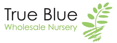 True Blue Wholesale and Hire